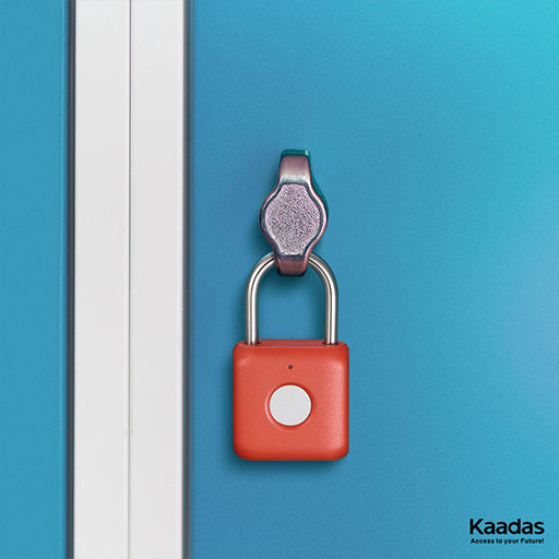 Cerradura Digital M100 Padlock