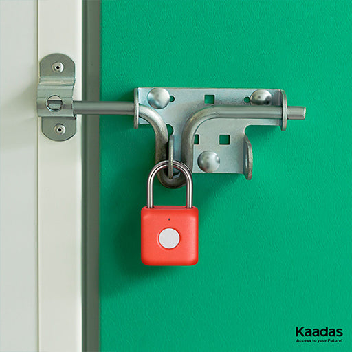 Cerradura Digital M100 Padlock